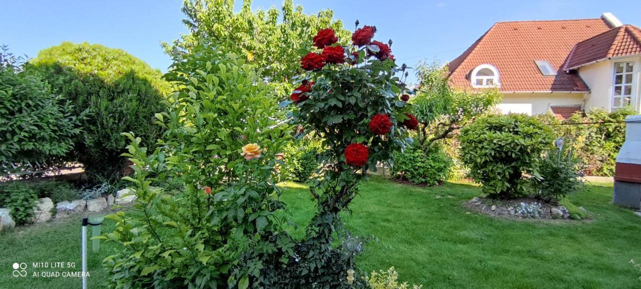 Landhaus Forras Balatonfüred Zewnętrze zdjęcie